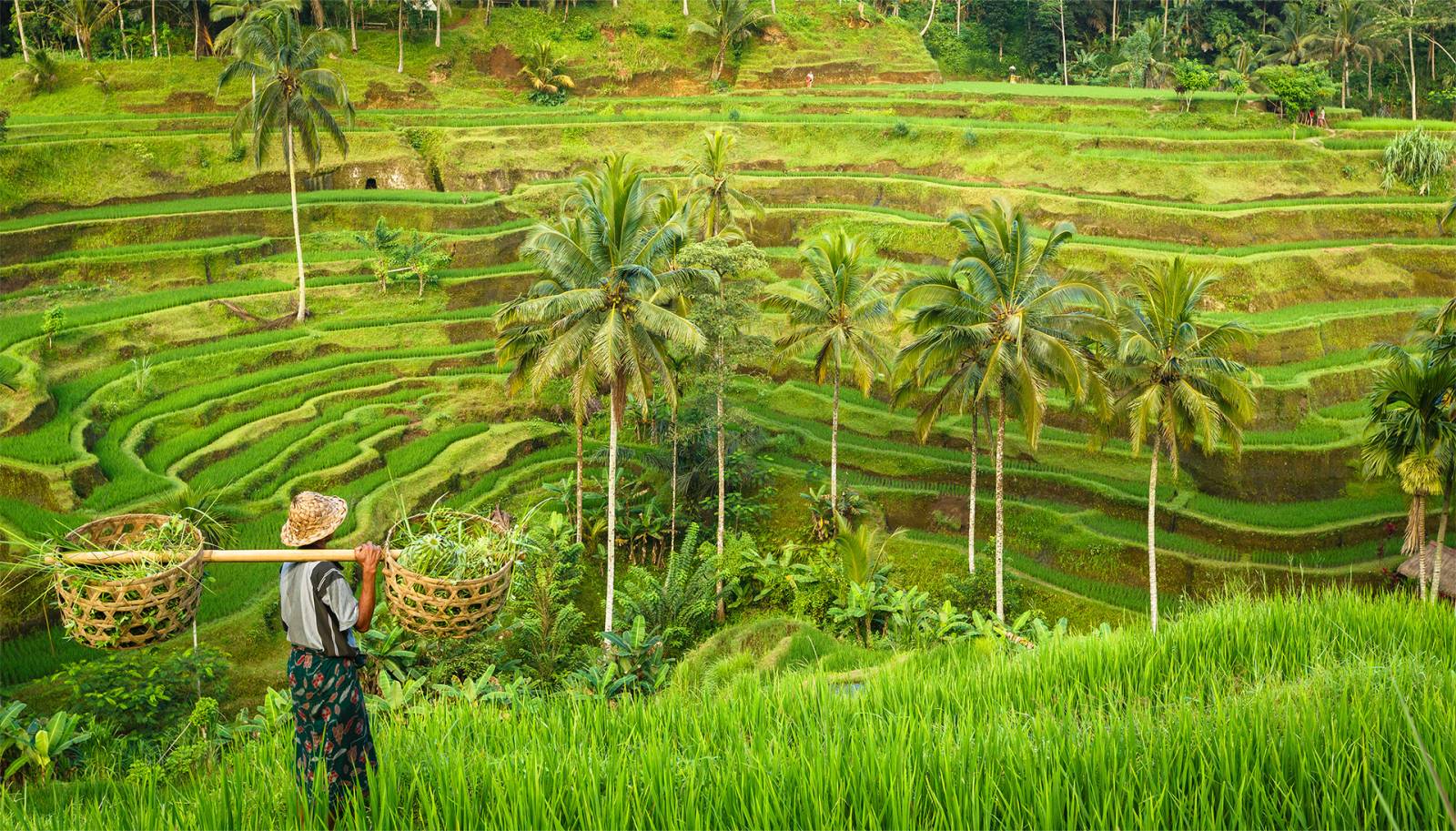 Bali