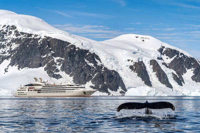 Croisière Antarctique PONANT 2027-2028 : La Grande Boucle Australe avec CR Voyages