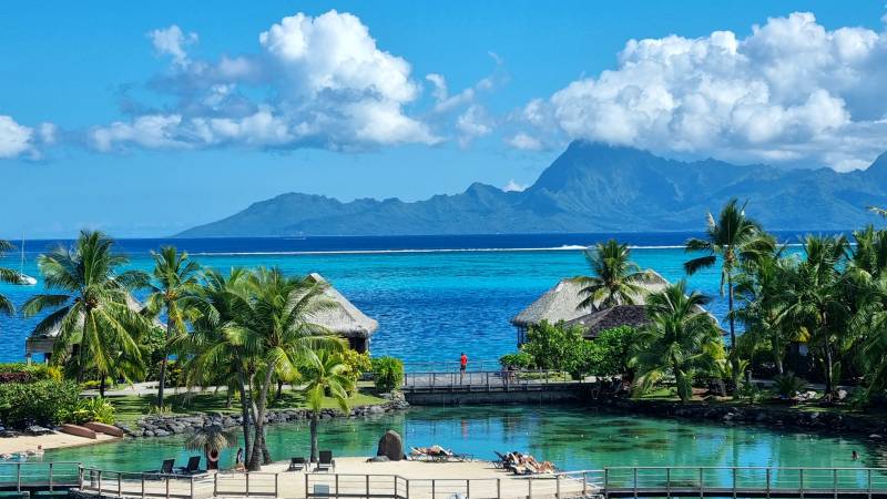 Agence pour organisation de voyage d’anniversaire de mariage en Polynésie : vivez l’exception sur mesure 