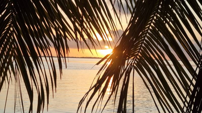 Fakarava : l'Havaiki Lodge