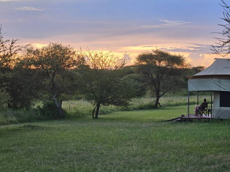 Safari en Tanzanie