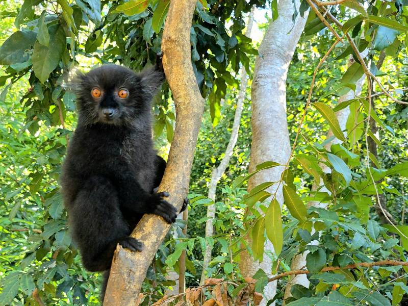Nosy Be, la perle de l’océan Indien : une invitation au voyage entre nature, lagons et douceur de vivre