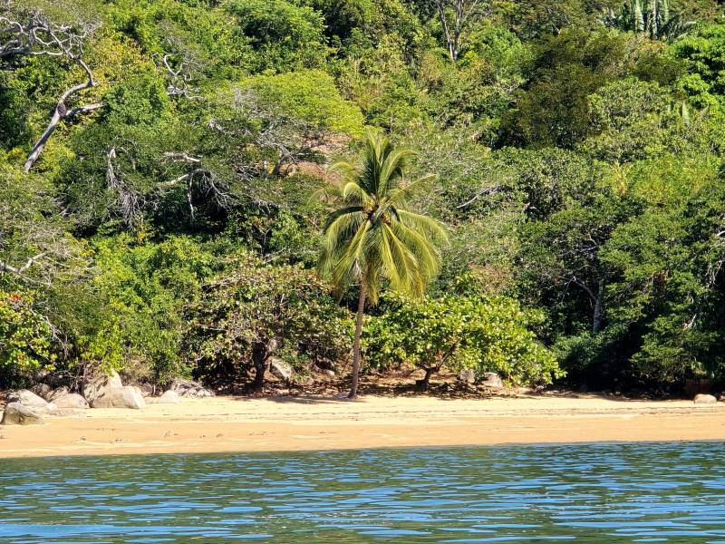 Lokobe : la vraie nature de Nosy Be, côté forêt… et côté mer