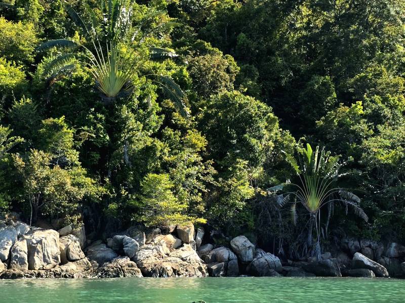 Lokobe : la vraie nature de Nosy Be, côté forêt… et côté mer