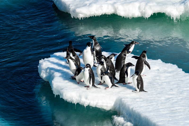 En 2028, PONANT repousse les limites de l'Exploration avec la Première Circumnavigation Antarctique du Commandant Charcot