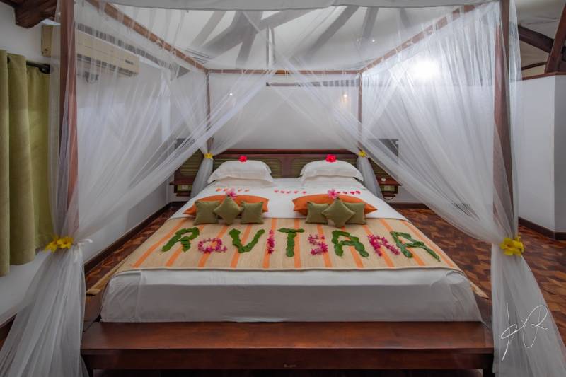 Ravintsara Wellness Hotel : Chambre