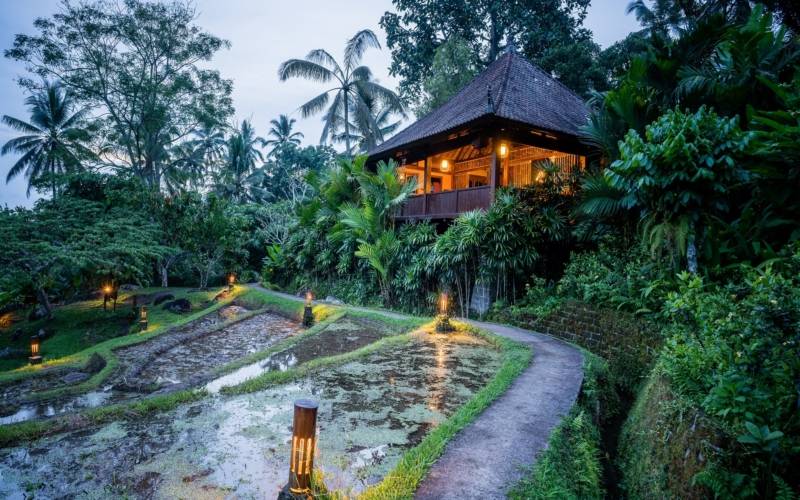 Bali Eco Stay - Bungalow