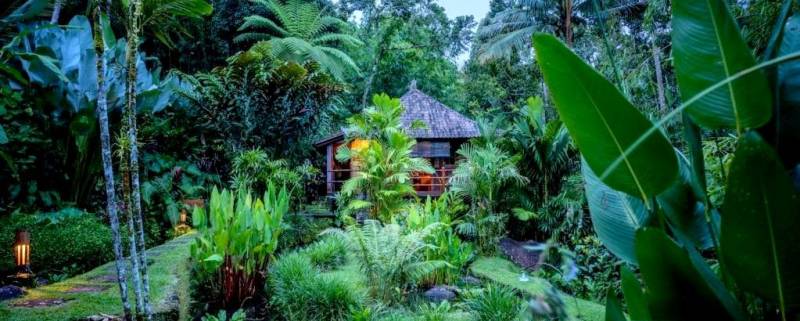 Bali Eco Stay - Forêt