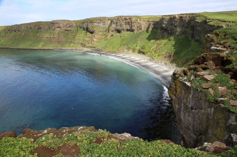 Mosaïque islandaise : une croisière d'exception entre nature sauvage et gastronomie nordique