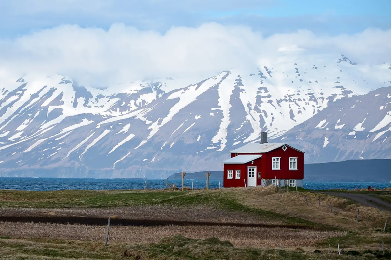 Mosaïque islandaise : une croisière d'exception entre nature sauvage et gastronomie nordique