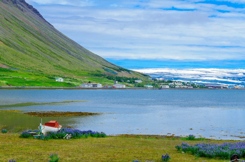 Mosaïque islandaise : une croisière d'exception entre nature sauvage et gastronomie nordique