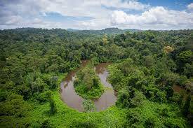 Guyane