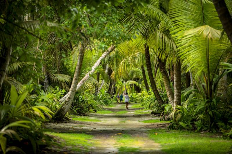 Ile Alphonse - Seychelles