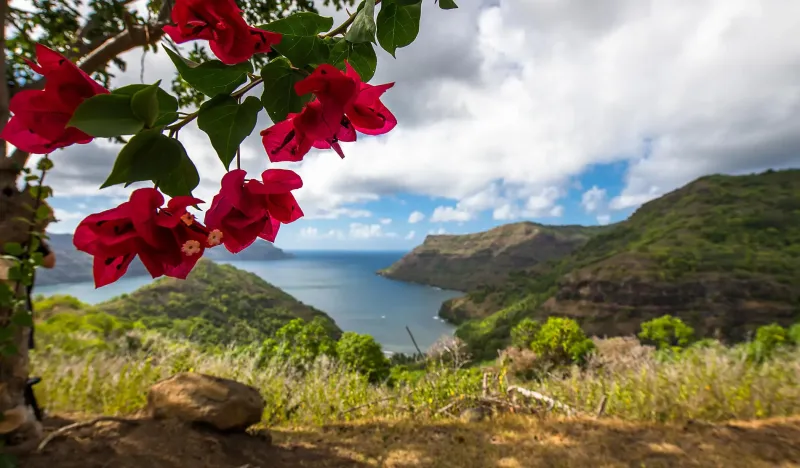 Marquises, Tuamotu et Îles de la Société