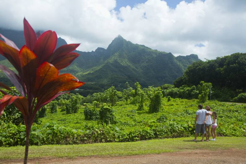 Raiatea, l’île sacrée & Taha'a