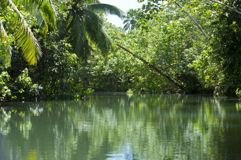 Raiatea, l’île sacrée & Taha'a