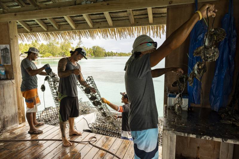 Fakarava : l'Havaiki Lodge