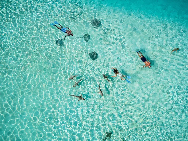 Îles de la Société aux îles Australes
