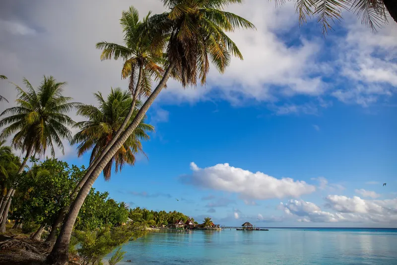 Îles de la Société aux îles Australes