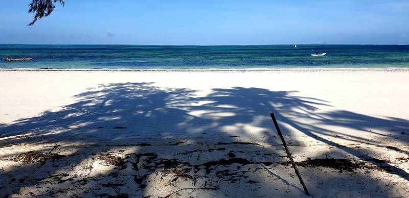 Zanzibar, plages de sable blanc, cocotiers