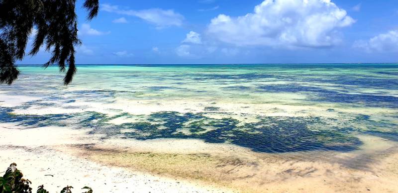 Zanzibar et ses plages de rêve