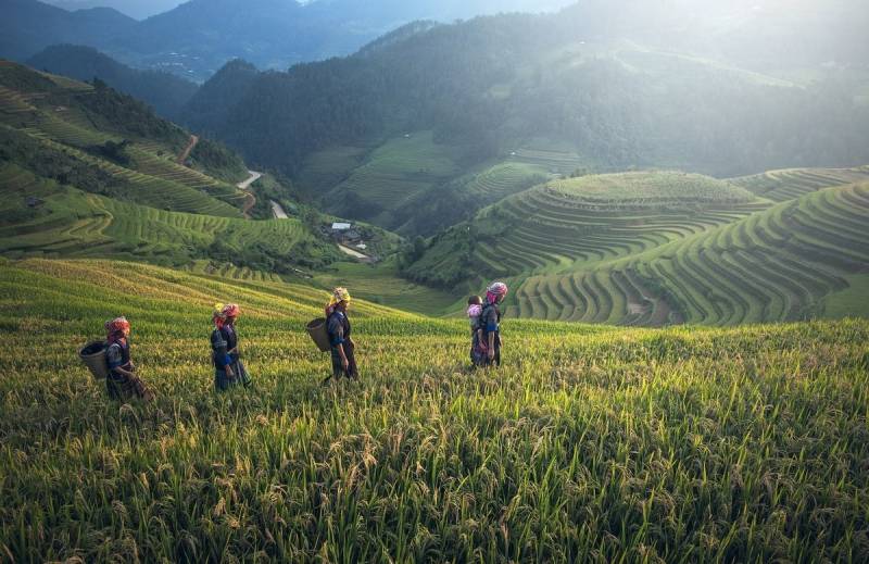 Bali autrement avec CR VOYAGES, Rizières