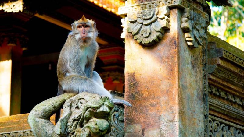 Bali autrement avec CR VOYAGES, temples balinais