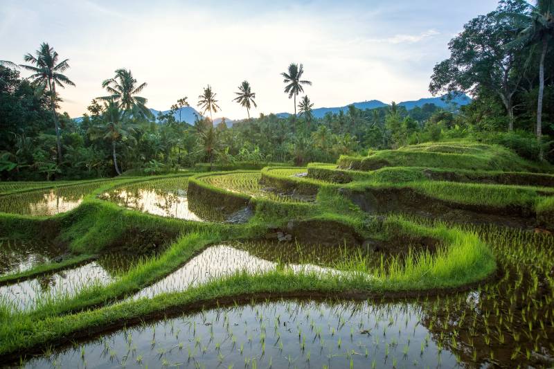 Bali Hors Saison