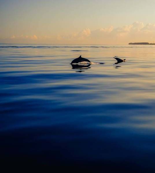 La Pirogue Mauritius