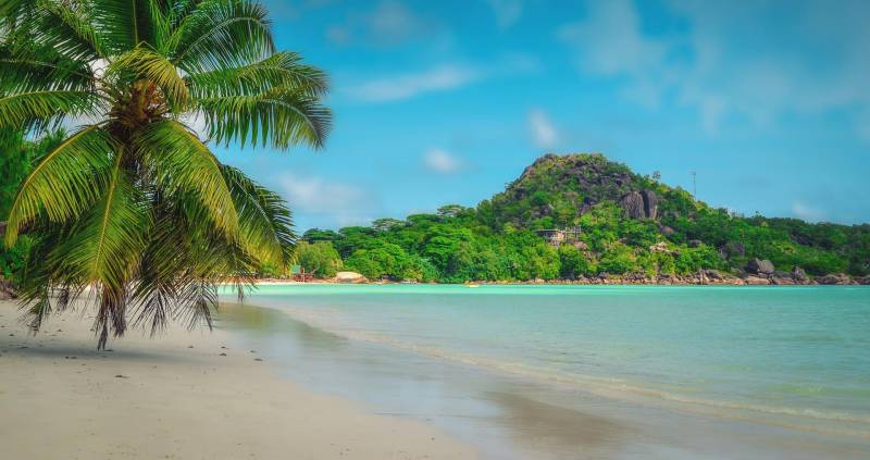 Spécialiste Seychelles
