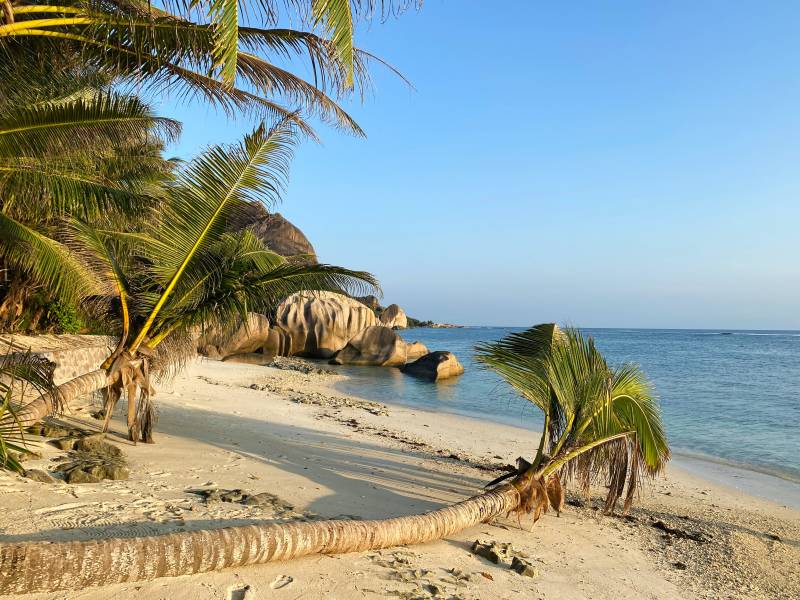 Constance Ephelia - Plage