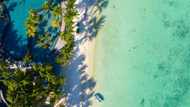 Paradis Beachcomber